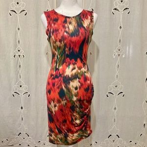 Impressionistic Haute Hippie, Ruched, Knee Length, Sleeveless Dress, Size XS